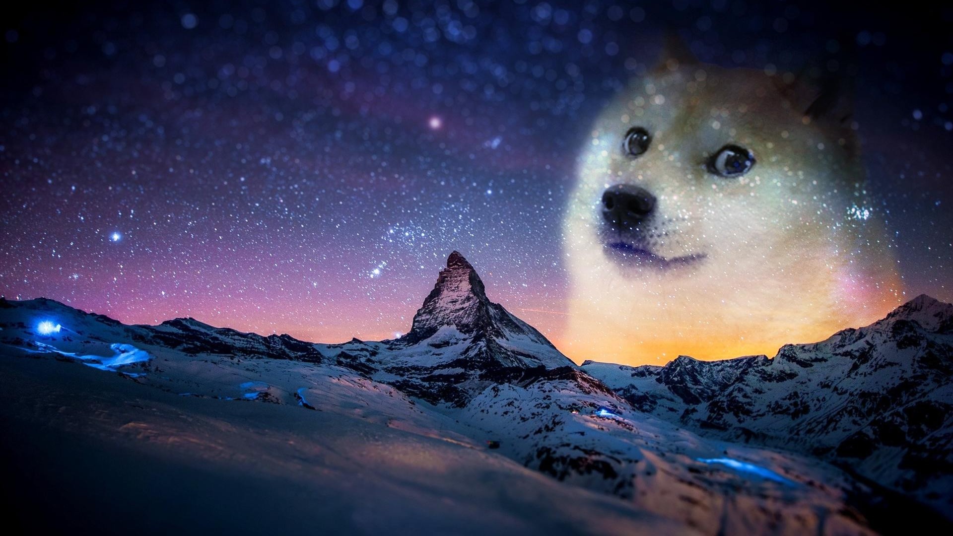 Doge.jpg